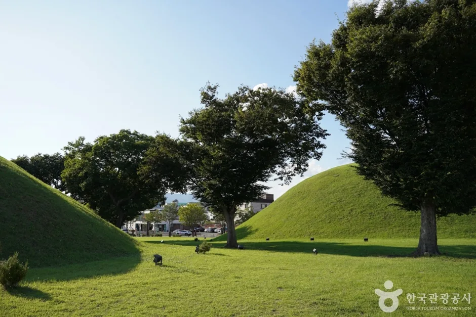 쪽샘지구 (13)