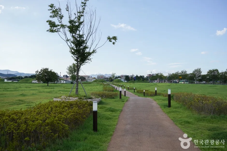 쪽샘지구 (7)