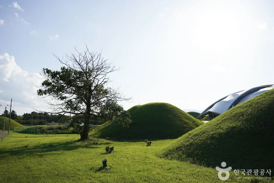 쪽샘지구 (14)