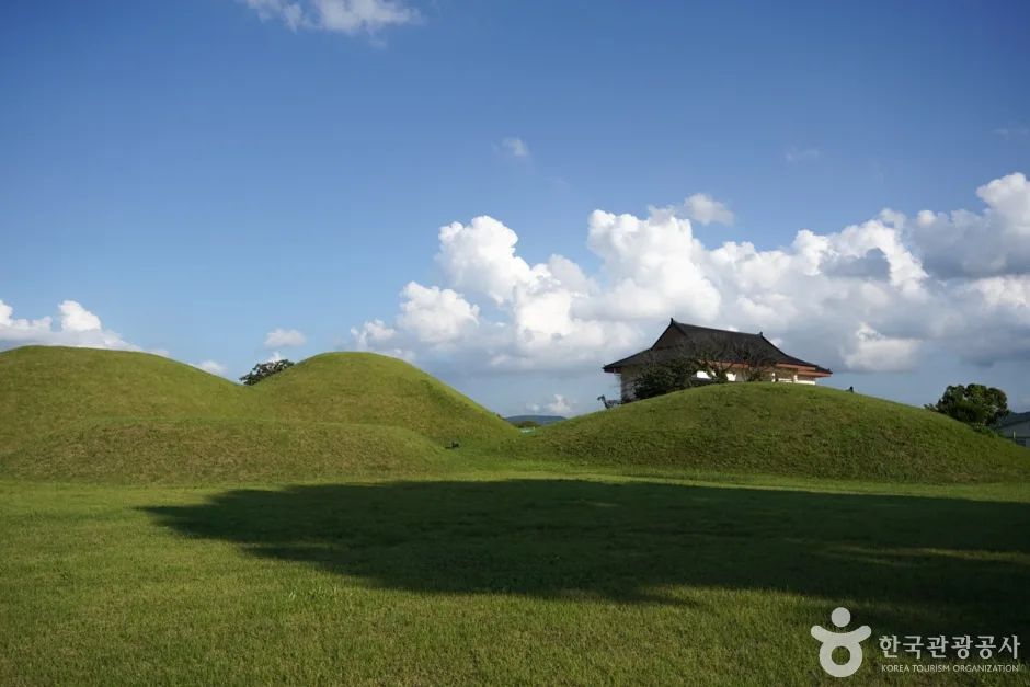 쪽샘지구 (11)