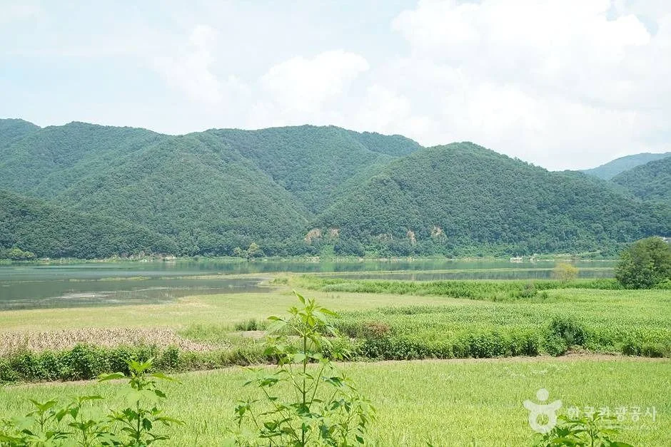소양호(인제) (17)