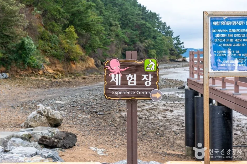 서산시_중리어촌체험마을 (3)