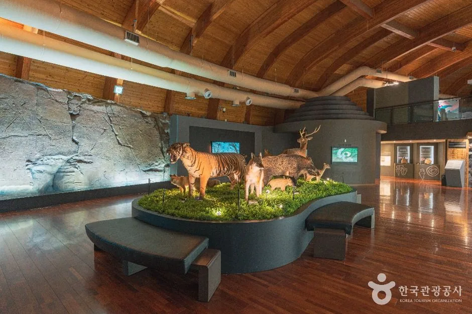 울산_울산암각화박물관 (1)