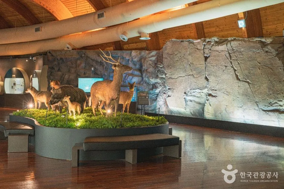 울산_울산암각화박물관 (3)