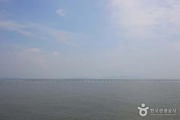 압해도
