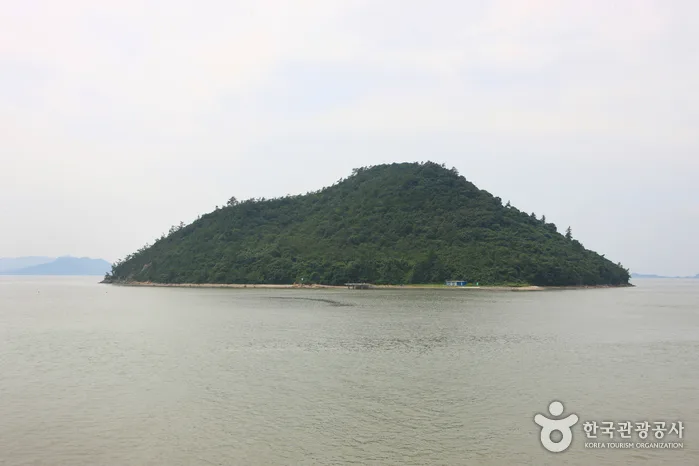 압해도_002