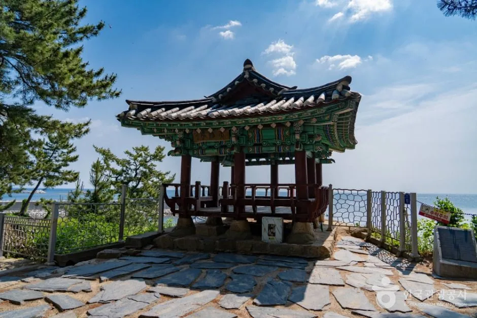 강원고성_천학정 문암포구 (2)