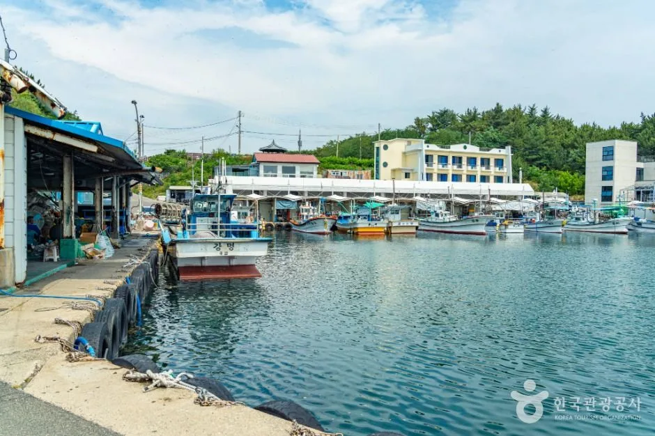 강원고성_천학정 문암포구 (8)