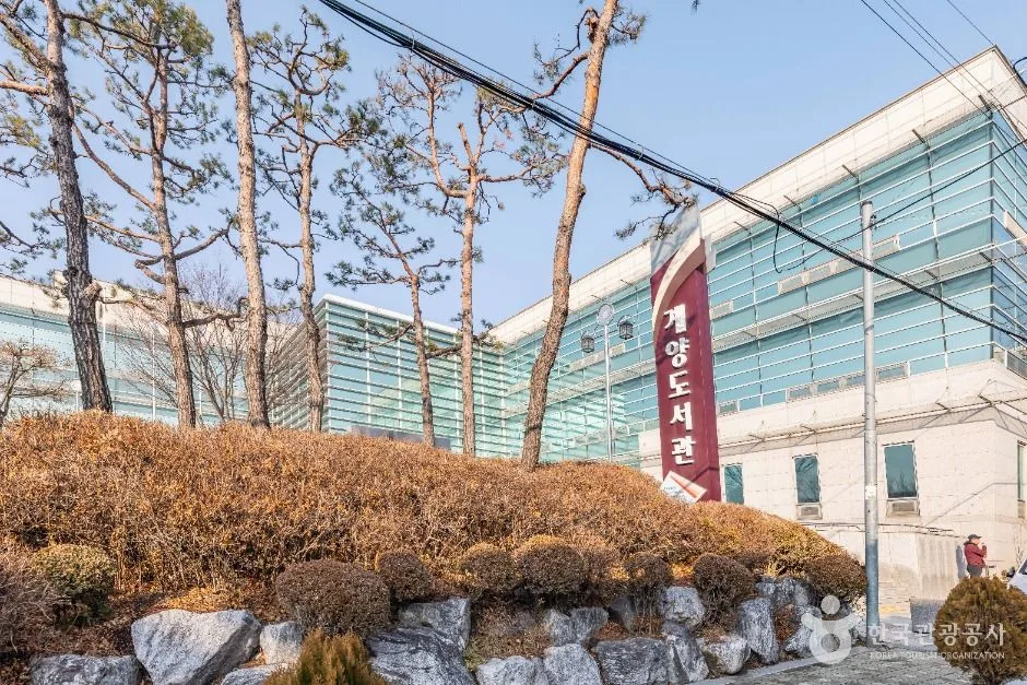 인천_인천 계양도서관 (1)