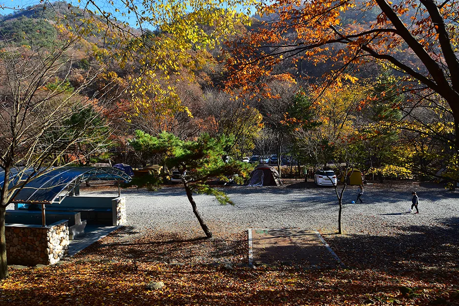 금산산림문화타운_캠핑장 전경