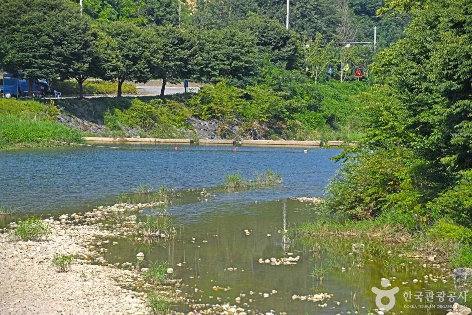 두남천 (2)