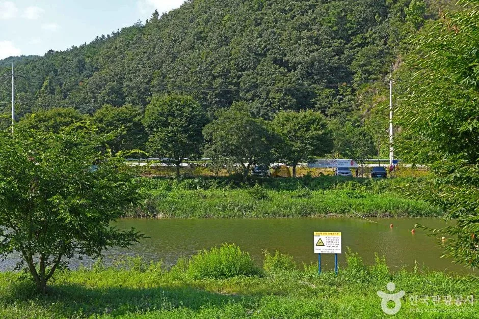 두남천 (6)