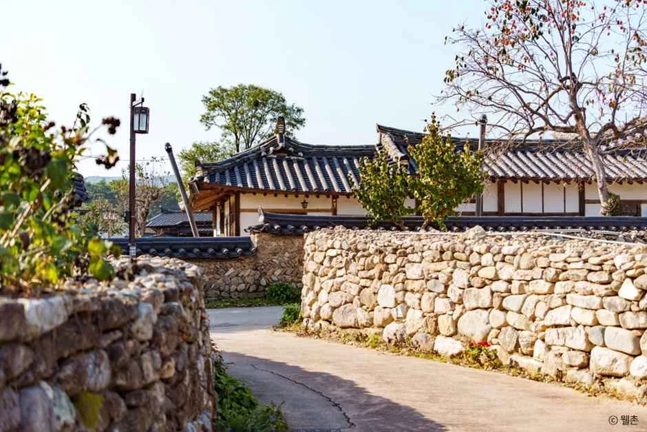 예천 금당실마을 (1).jpg