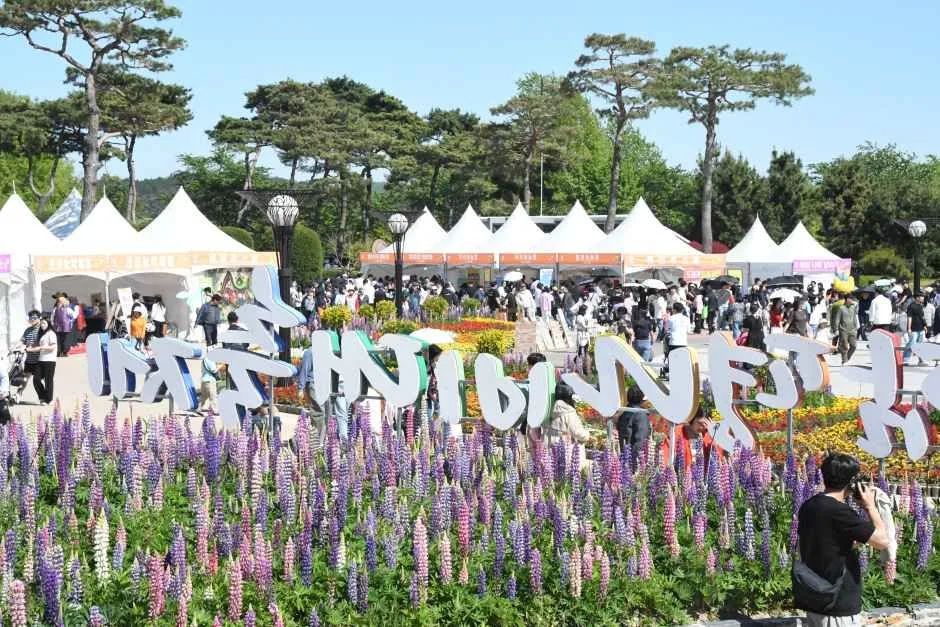 2026 함평나비대축제 (8).JPG