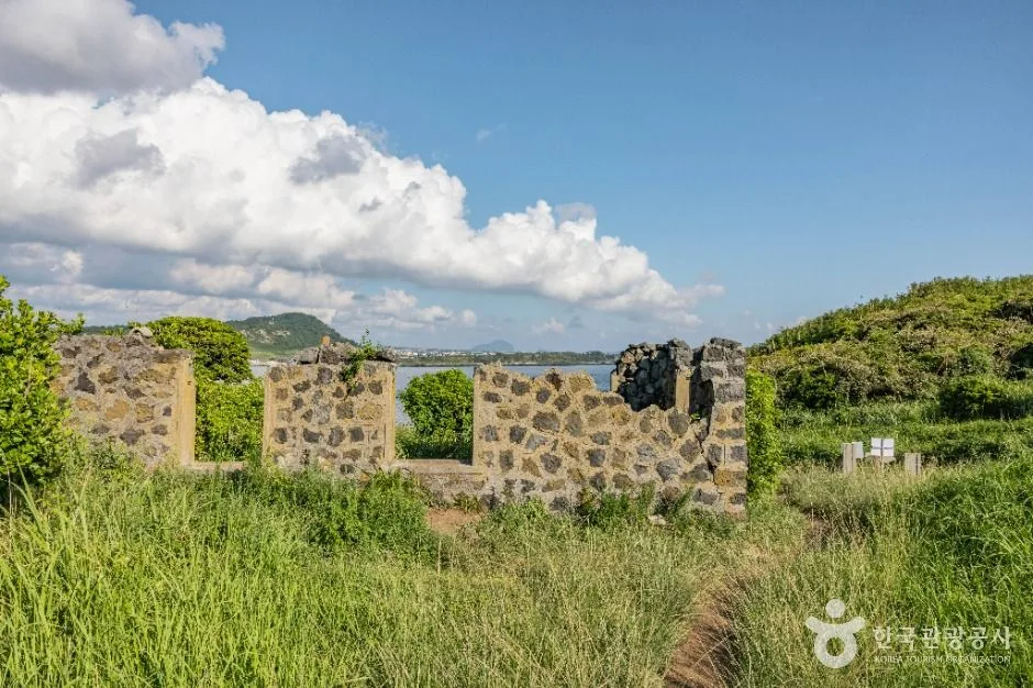 제주_차귀도 (7)