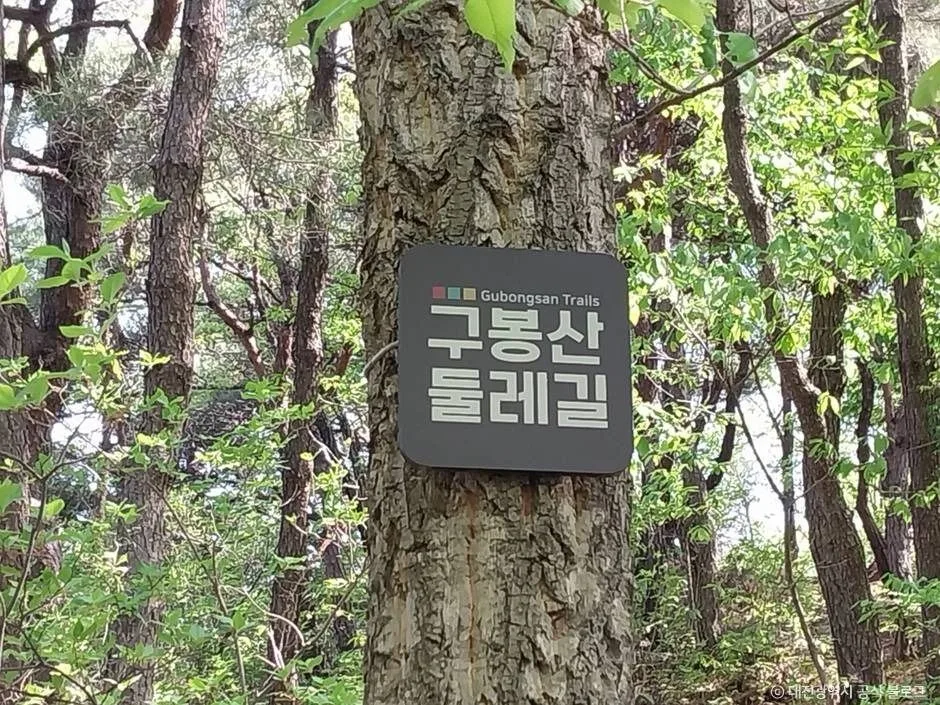 대전_구봉산(대전) (5)