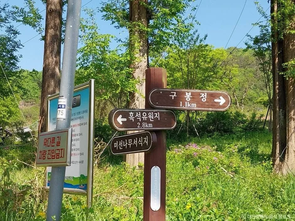 대전_구봉산(대전) (1)