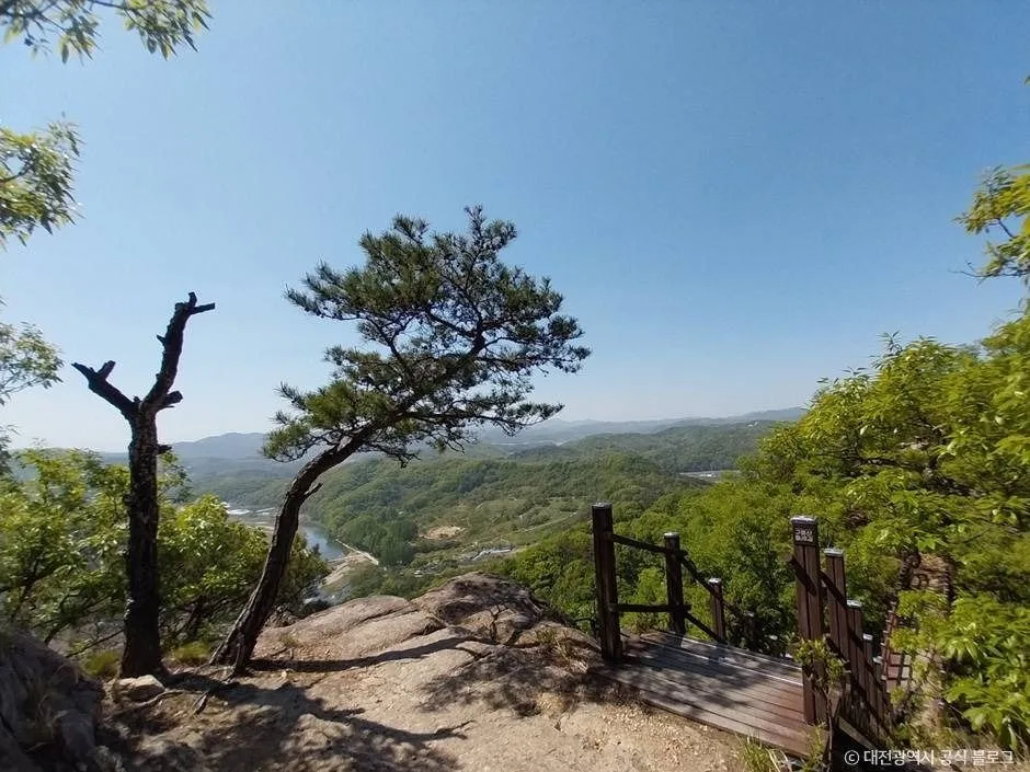대전_구봉산(대전) (2)