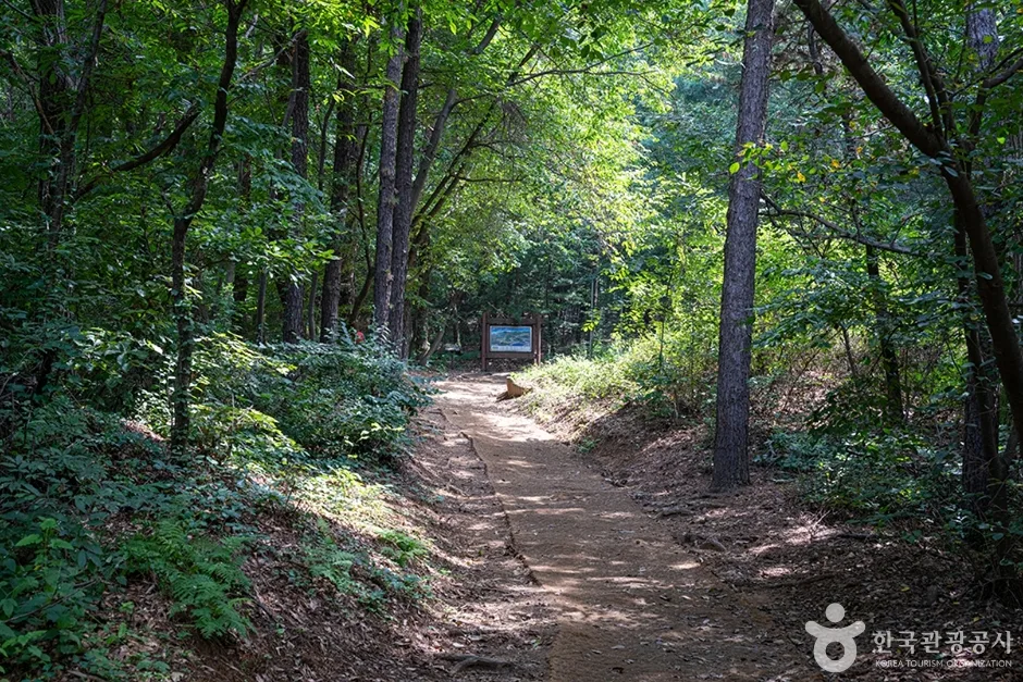 서봉산산림욕장 (7)
