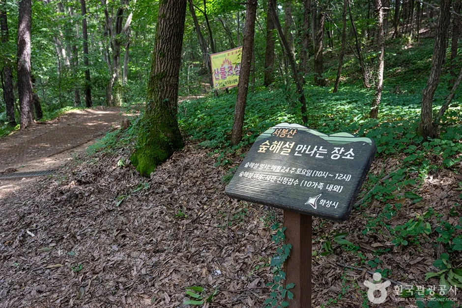 서봉산산림욕장 (10)