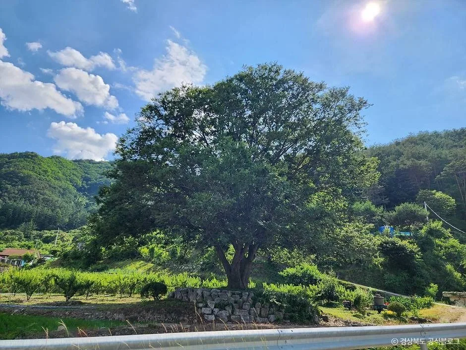 봉화_청량산비나리마을 (5)