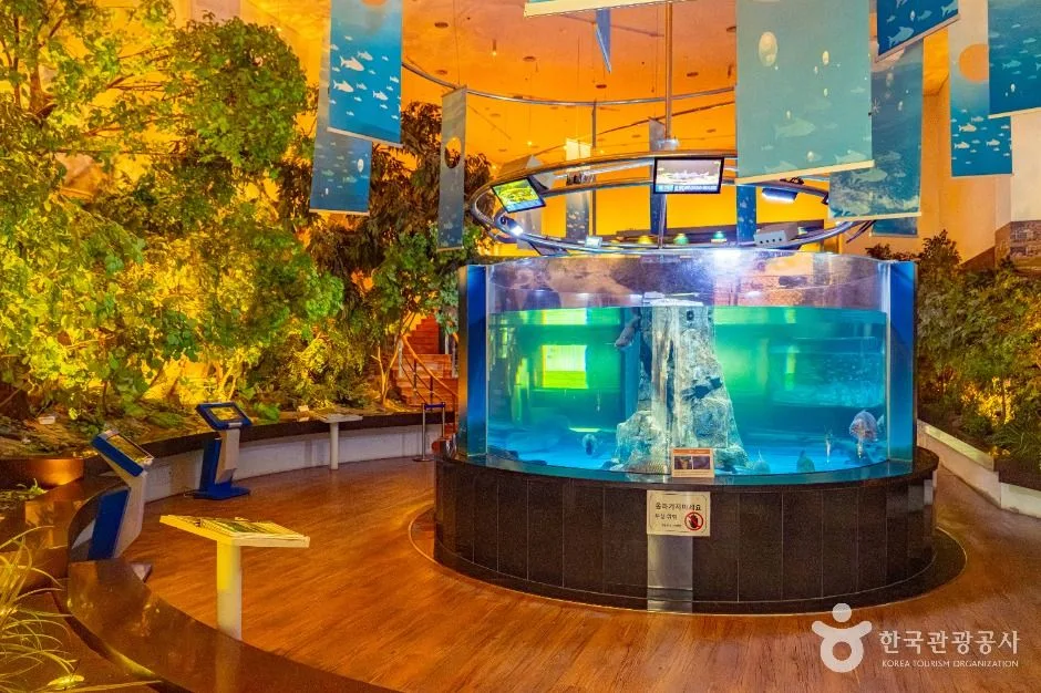 전남_구례_섬진강어류생태관_내부_2.jpg