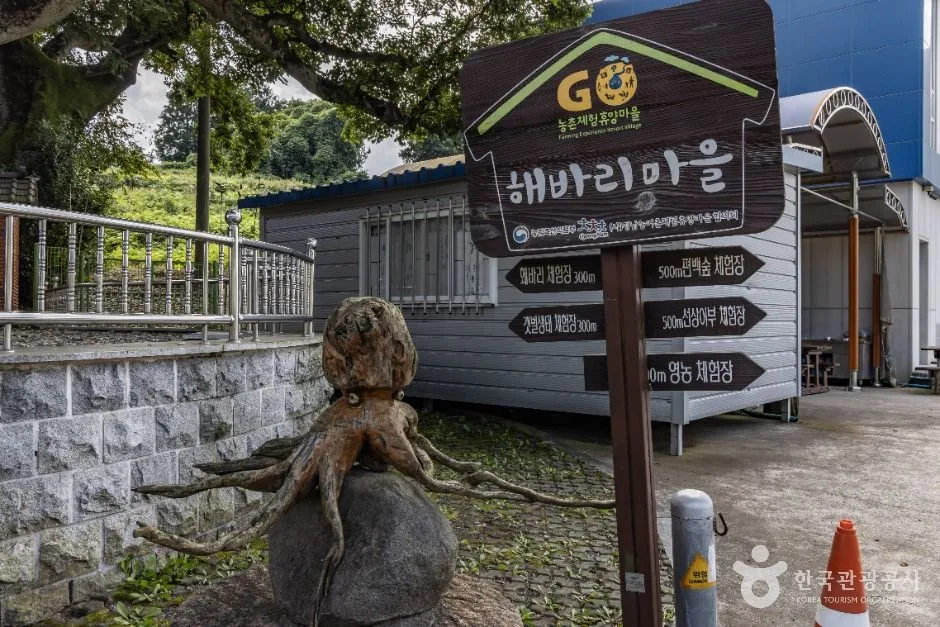 남해_신흥해바리마을 (4)