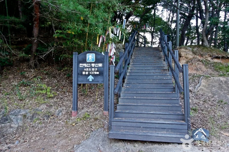 천태산 (9)