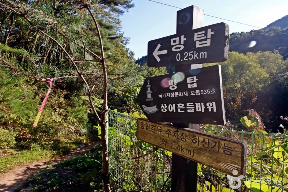 천태산 (7)