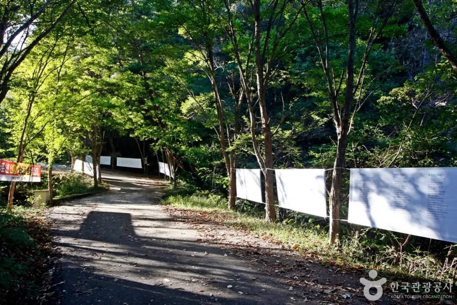 천태산 (13)