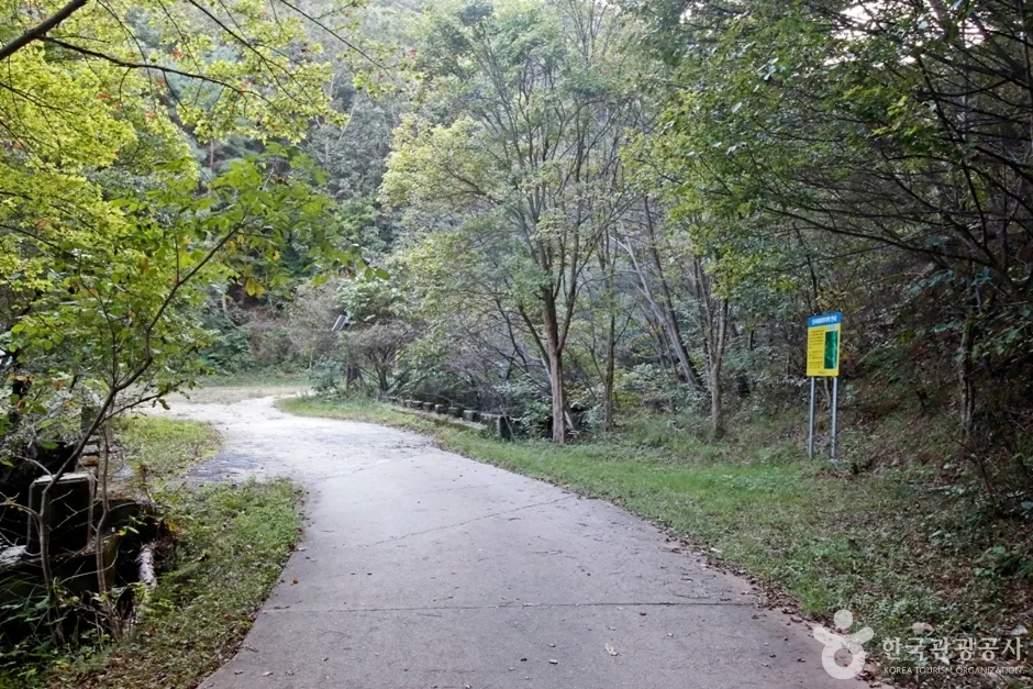천태산 (10)