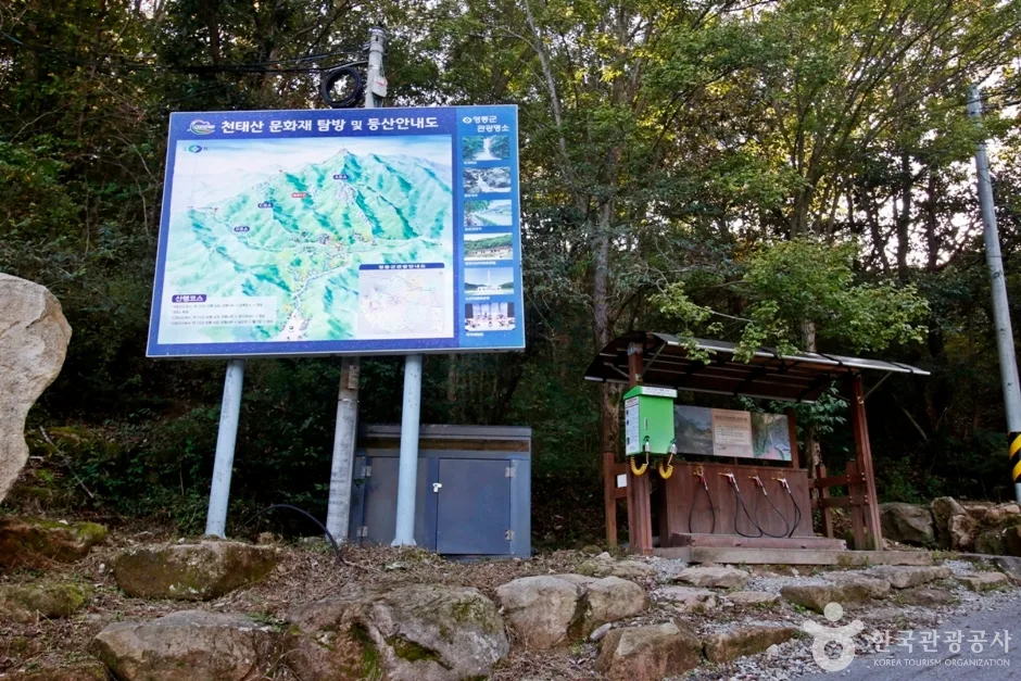 천태산 (12)