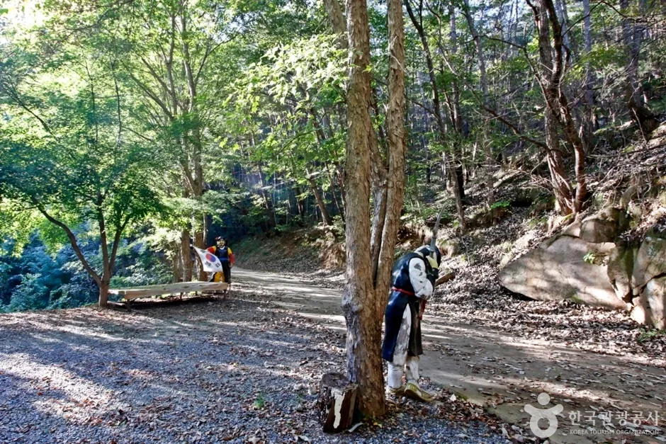 천태산 (5)