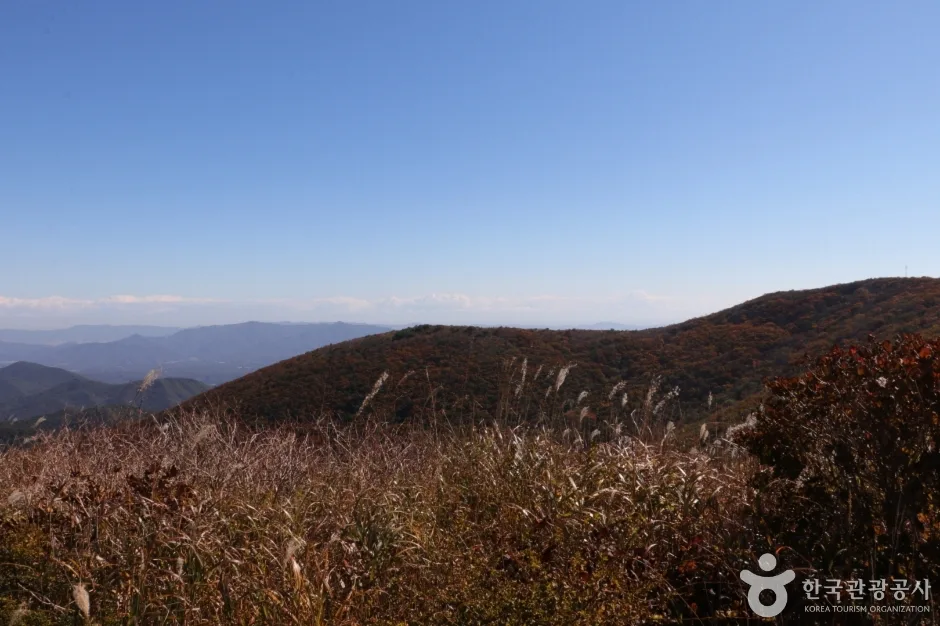 고헌산(울산) (6)