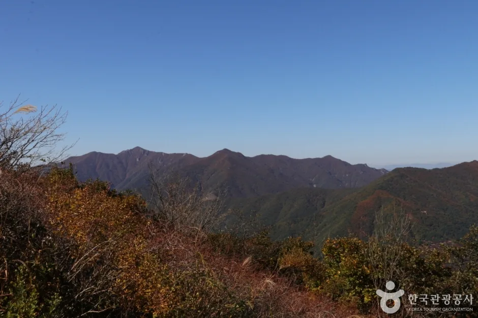 고헌산(울산) (18)
