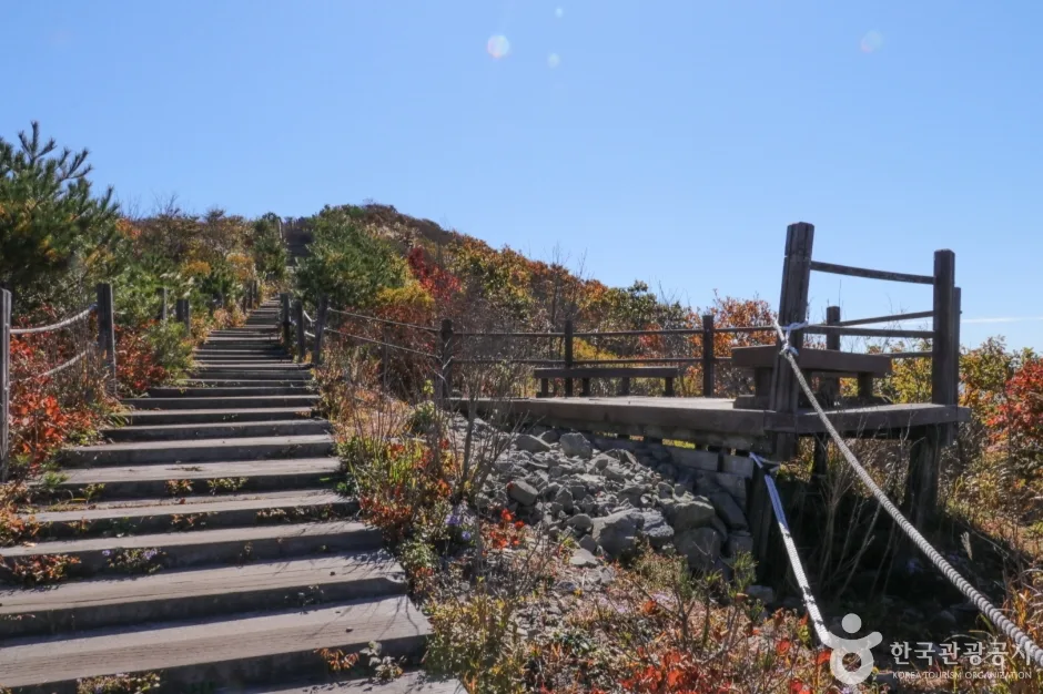 고헌산(울산) (5)