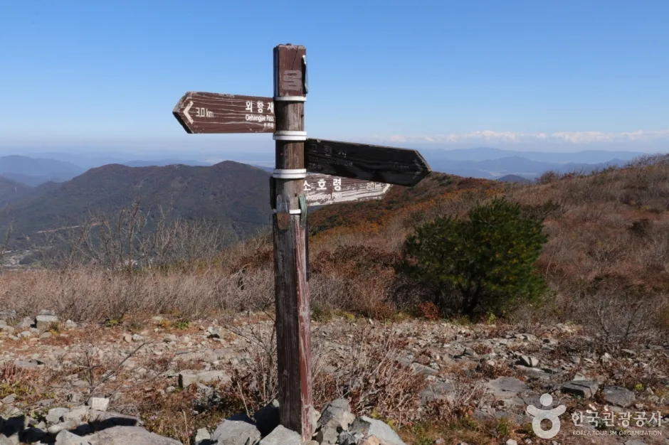 고헌산(울산) (17)