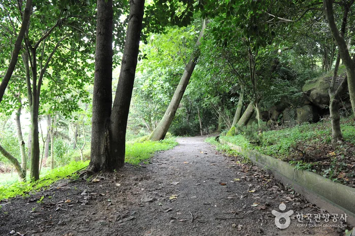 전남_목포시_유달산 달성공원 (1).jpg