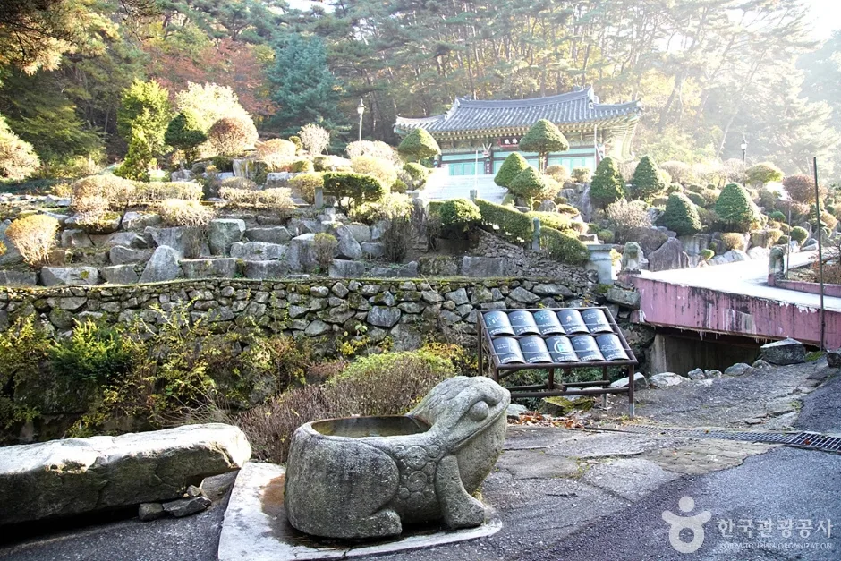 천은사계곡(원주) (14)