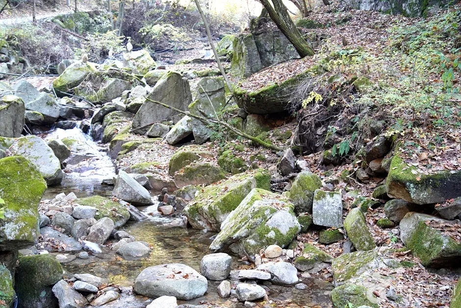 천은사계곡(원주) (16)