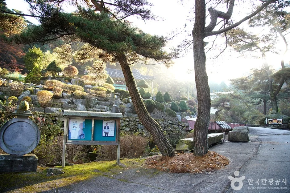 천은사계곡(원주) (7)
