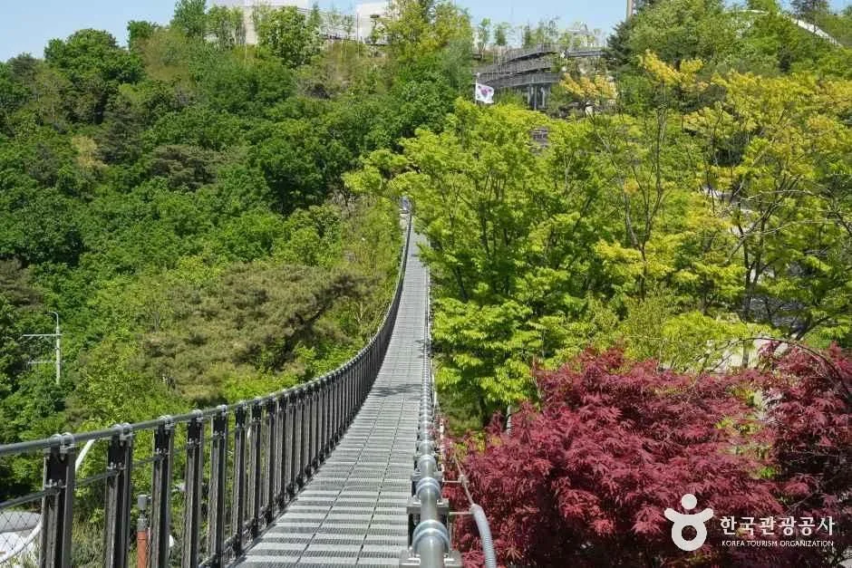 김포_애기봉평화생태공원 (2)