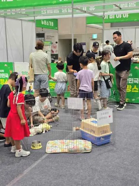 2026 대한민국 펫캉스 (5).jpg