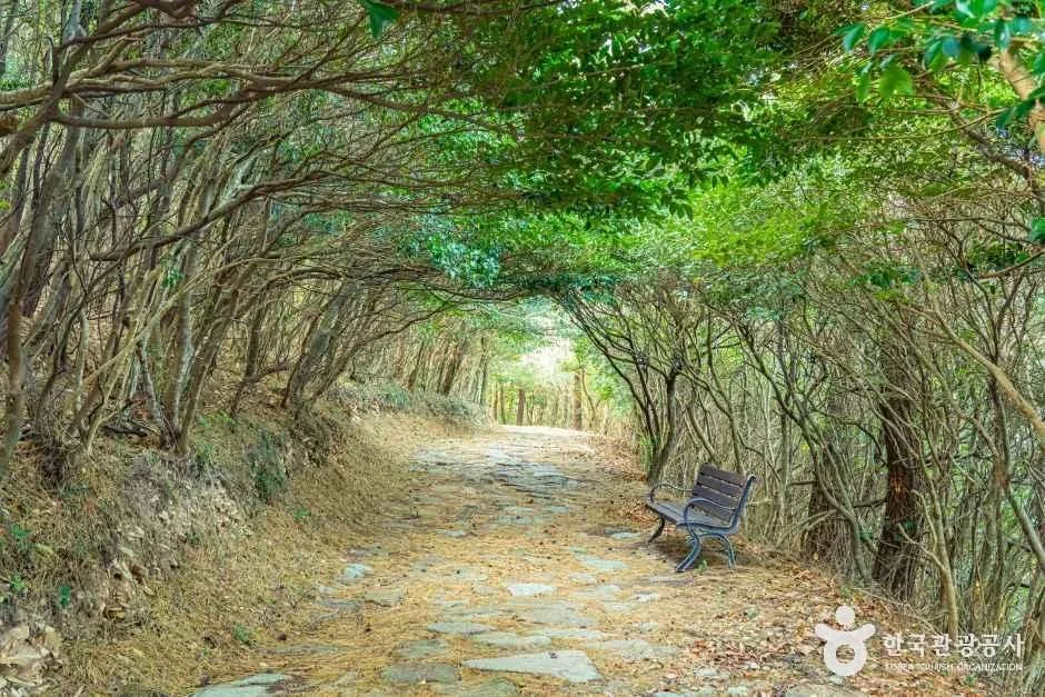 완도_우암 송시열 글쓴바위 (9).jpg
