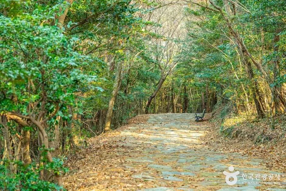 완도_우암 송시열 글쓴바위 (2).jpg