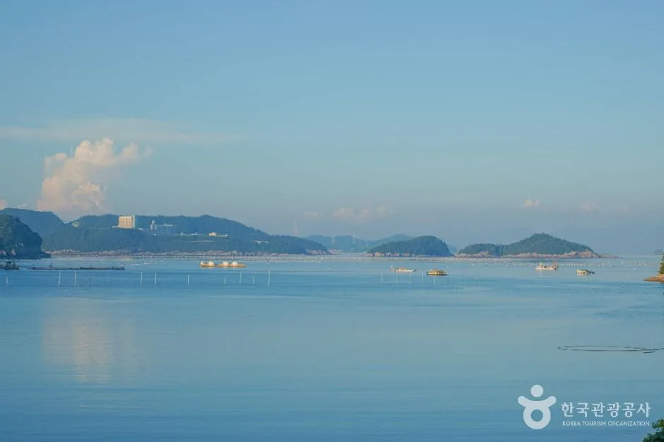 진도_접도 (6)