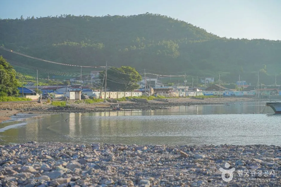 진도_접도 (2)