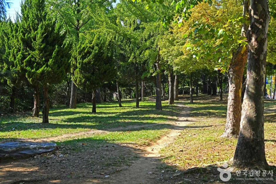 부평구_백운공원 (4)