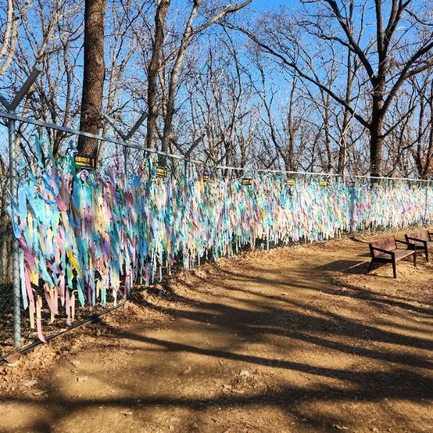 파주 임진각평화곤돌라(파주 DMZ 곤돌라) (9)