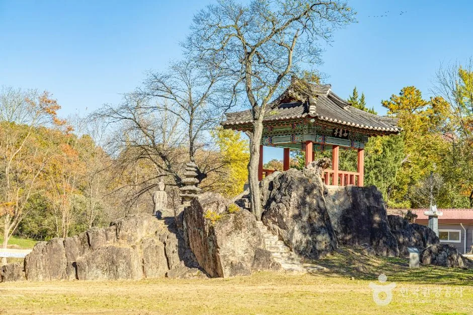 영동군_송호리송림 (7)